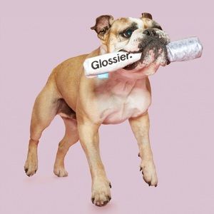 BARK x Glossier Boy Brow Crinkle Dog Toy Wand Tube